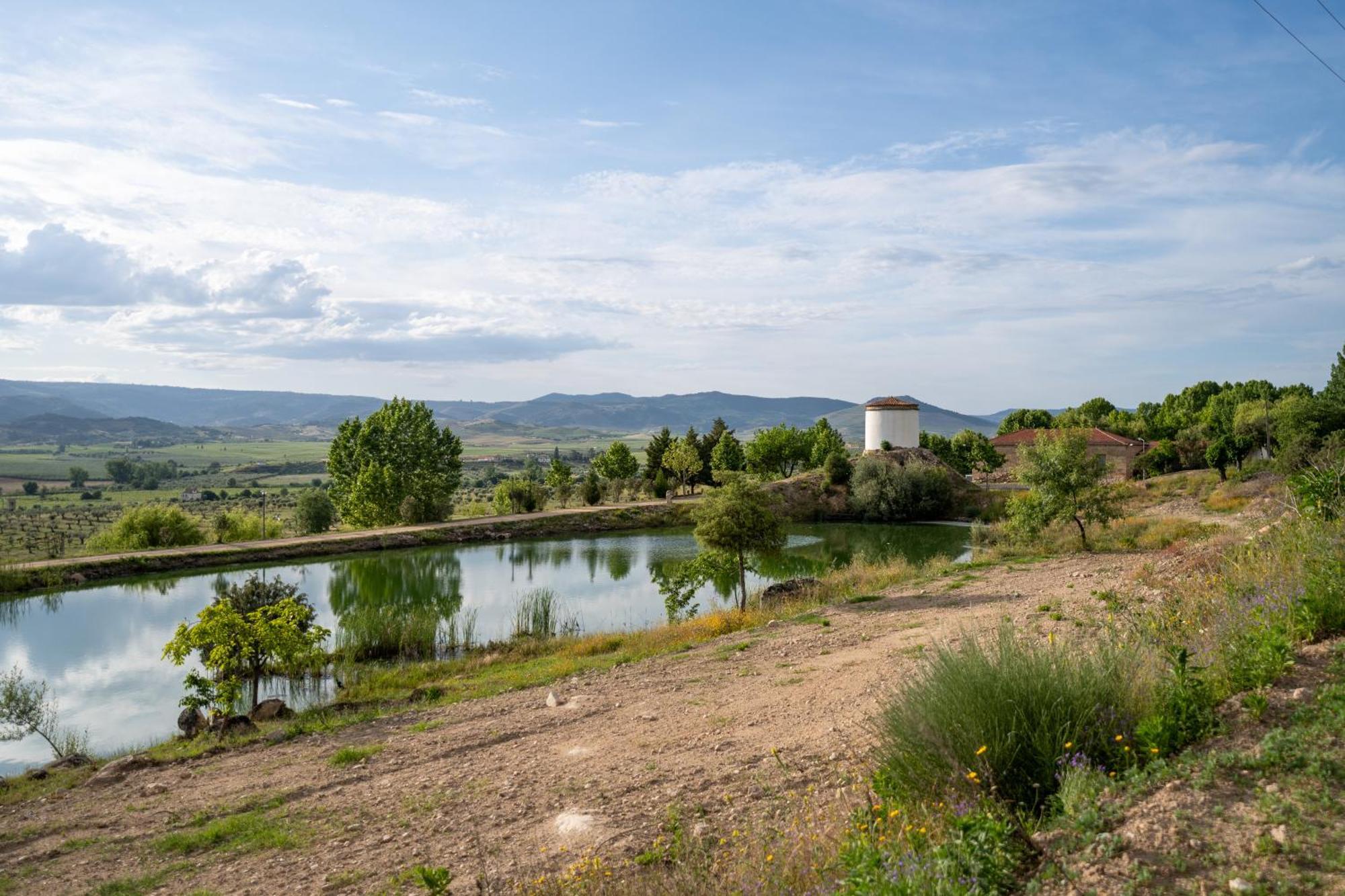 Quinta Da Terrincha Pensionat Torre De Moncorvo Eksteriør billede